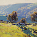 Afternoon Light lithgow