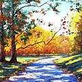 Autumn road Mt Wilson