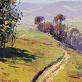 Hilly Landscape Lithgow