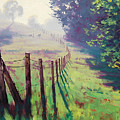 The Fence line