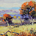 Bathurst Landscape